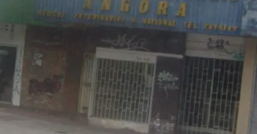 CENTRO VETERINARIO ANGORA CENTRO VETERINARIO ANGORA